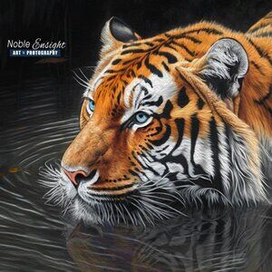 Tiger Watercolor Oil Painting Art Print -‎ Majestic Tiger in Water